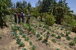 Kenya_4158_1