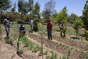 Kenya_4158_2