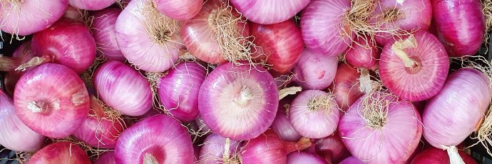 Menton Pink Onion